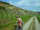 Thumbs/tn_Radtour Heilbronn 016.jpg